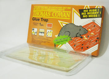 Glue Trap With Real Peanut