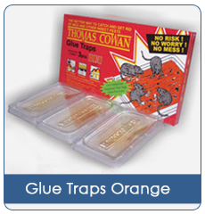 Glue Trap
